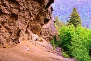 Scenic photo of the Alum Cave Trail in the Great Smoky Mountains National Park.
