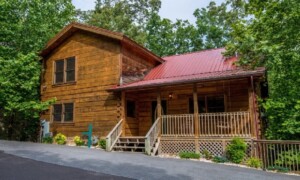 Log Inn Family Cabin