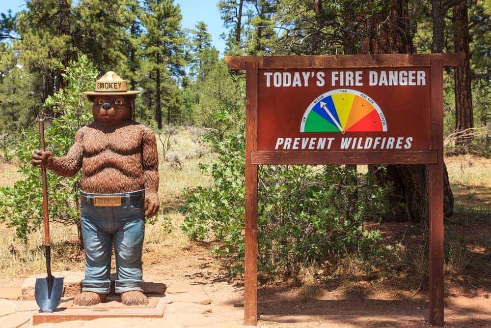 A statue of Smokey the Bear.