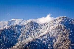 Mount LeConte covered in snow.