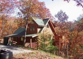 Jasmines Treehouse