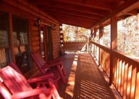 Jasmines Treehouse