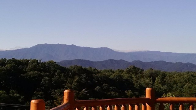 Unbearlievable View 