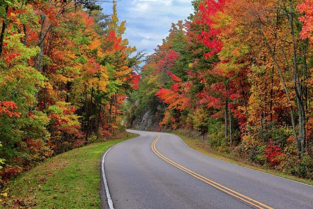 Fall colors along the Foothills Parkway in the Smoky Mountains.