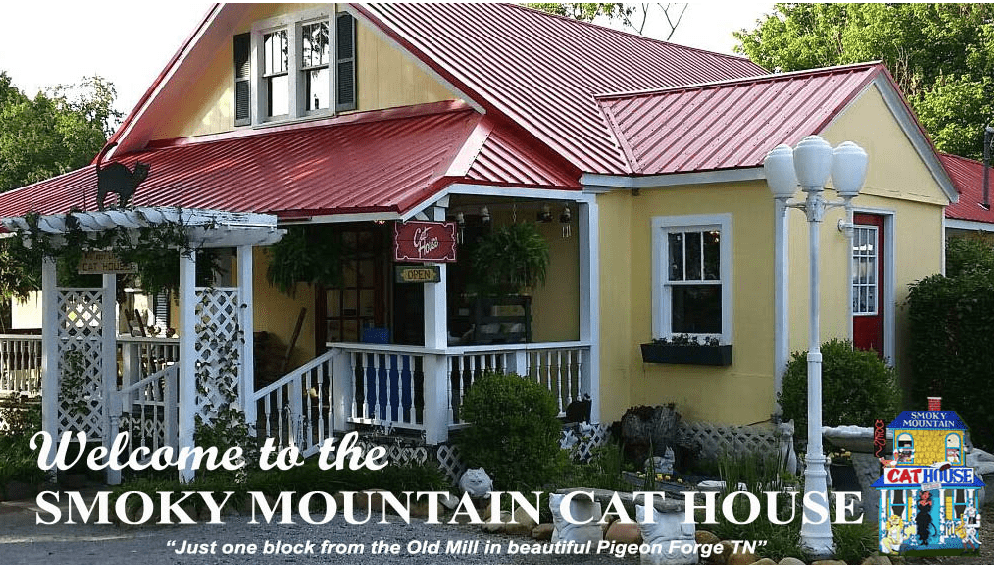 Welcome to the Smoky Mountain Cat House