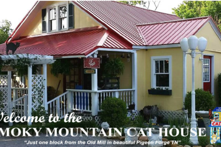Welcome to the Smoky Mountain Cat House