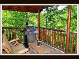 The Hiking Bear Cabin