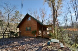 The Curious Bear Cabin