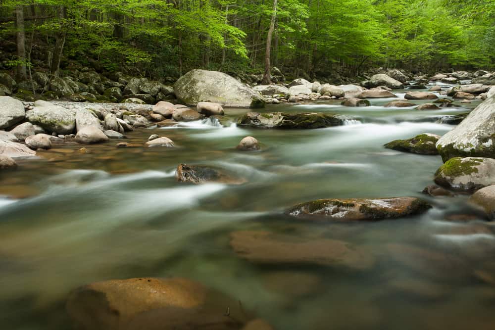 A river flowing through Greenbrier in the Smoky Mountains.
