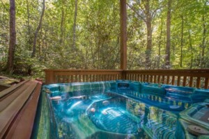 Mama Bear Creek Bridge Cabin