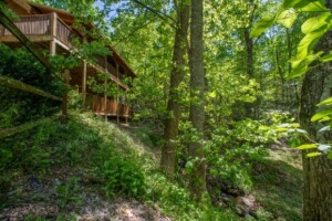 Mama Bear Creek Bridge Cabin