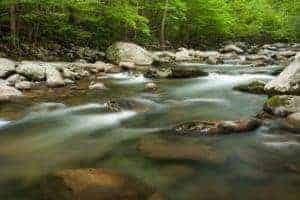 Beautiful view of the Little Pigeon River in Greenbrier in the Smoky Mountains.