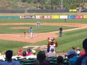 Mascot giving thumbs up to the stands at a Tennessee Smokies baseball game.