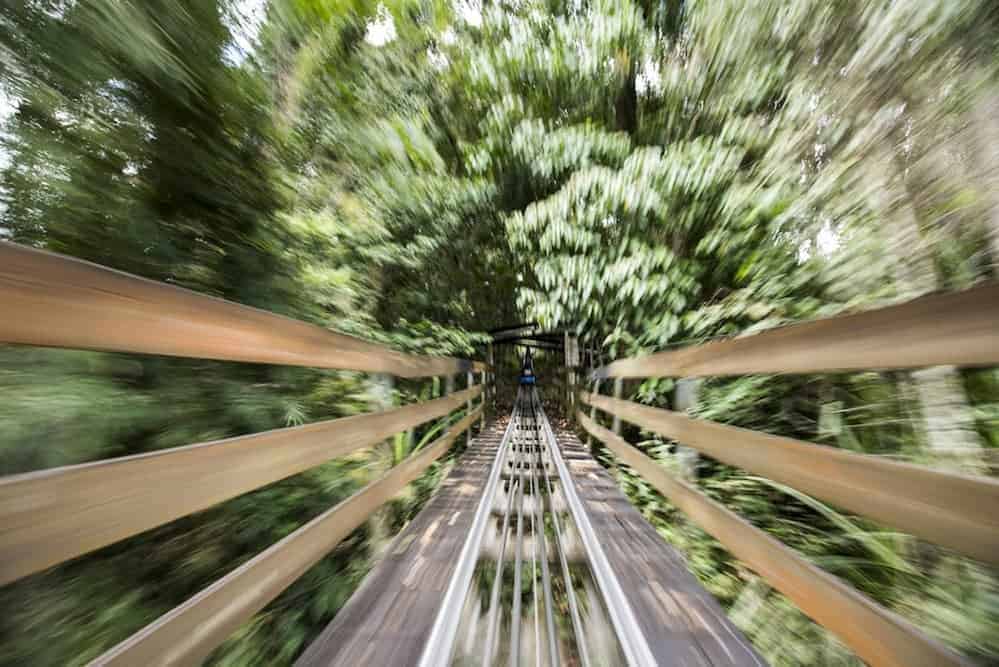 POV shot of riding a mountain coaster.