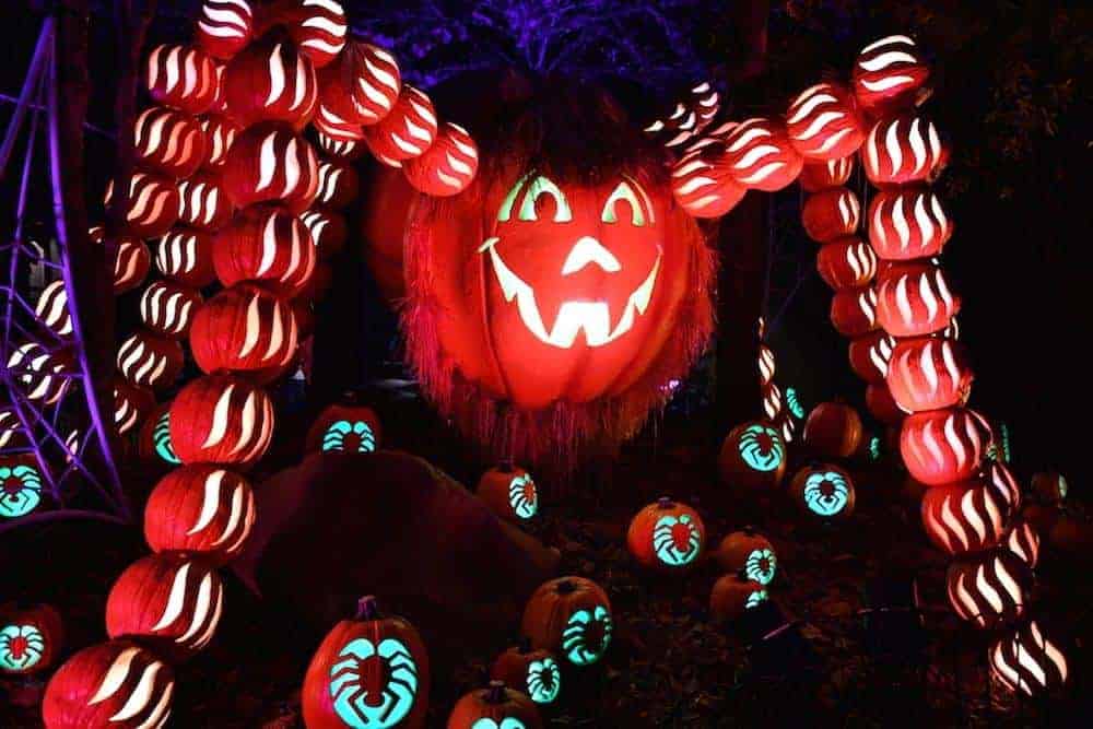 A spider jack-o'-lantern at Dollywood.