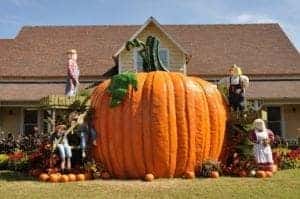 A giant pumpkin at Dollywood during the Harvest Festival.
