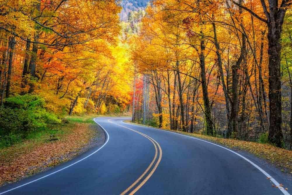 Fall colors along a road near Gatlinburg.