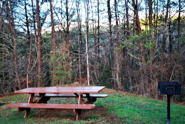 Our Cabin Bluff Mountain