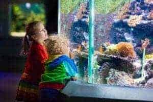 Two kids looking at the fish at an aquarium