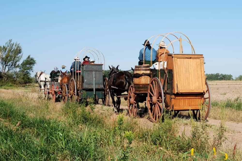 Chuckwagons making their way through the prairie.