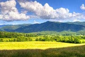 cades-cove-spring