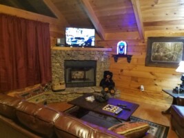 Black Bear Hideaway