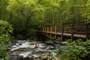A bridge over a stream in the Great Smoky Mountains National Park.