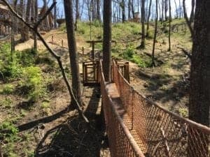 treetop canopy walk