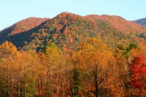 Cades Cove during fall season