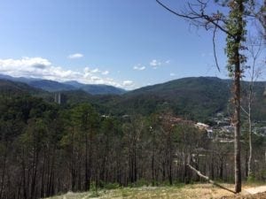 Mountain Views from Firefly Village