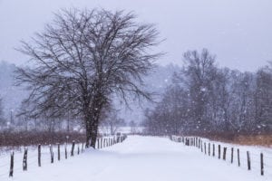 road in cades cove during winter