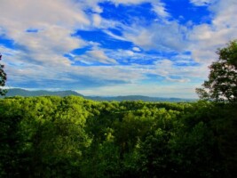 A Walk In The Clouds III