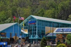 ripley's aquarium of the smokies