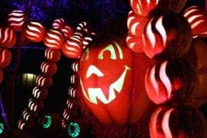 Pumpkins at Dollywood Harvest Festival