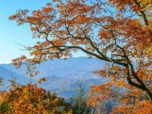 fall in the smoky mountains