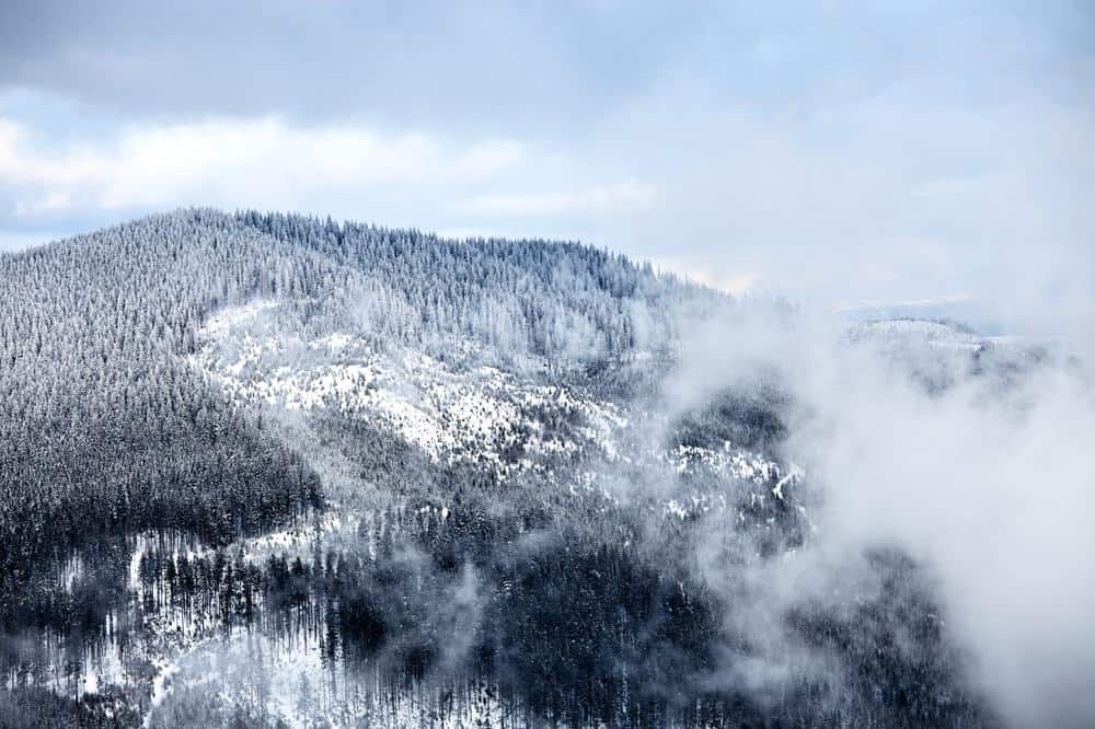 winter scene in the smokies