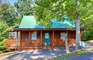 Simple Comforts 2BR/2BA Cabin