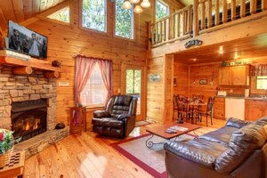 Simple Comforts 2BR/2BA Cabin