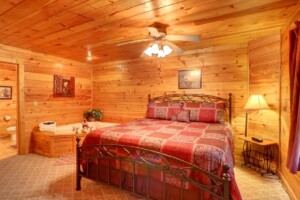 Simple Comforts 2BR/2BA Cabin