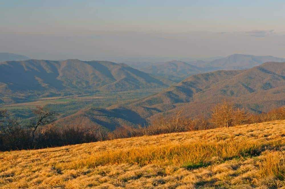 Gregory Bald in the Smoky Mountains