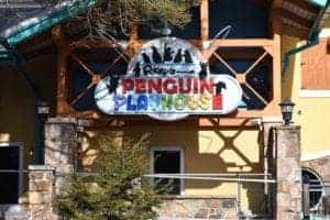 Penguin playhouse at Ripley's Aquarium of the Smokies