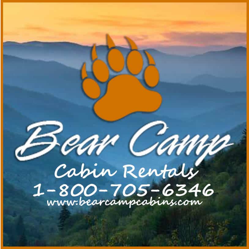 Bear Camp Cabin Rentals