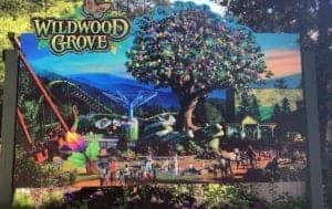 Wildwood Grove at Dollywood Theme Park