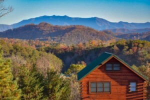 SugarBear Run Cabin