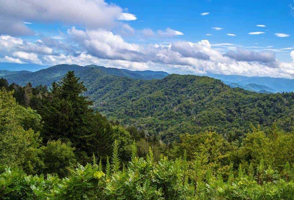 spring view of the smoky mountains