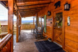 A Bears View
