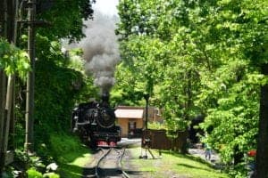 Dollywood Express train