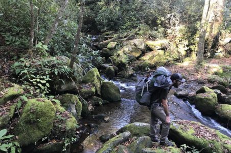 Hiking in the Smoky Mountains