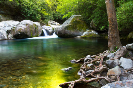 Midnight Hole