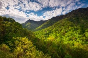 scenery in the great smoky mountains national park